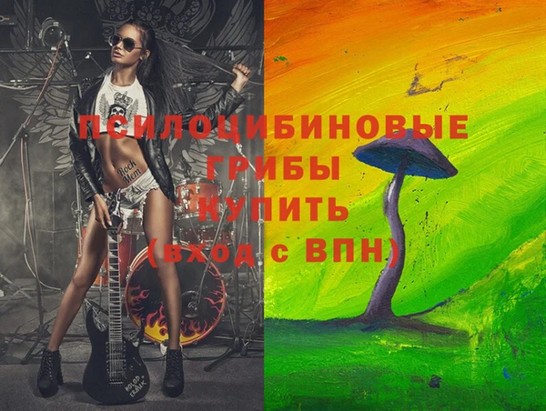 дурь Надым