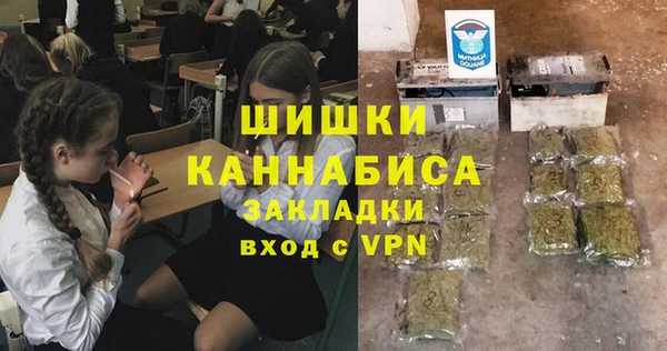 гашик Гатчина